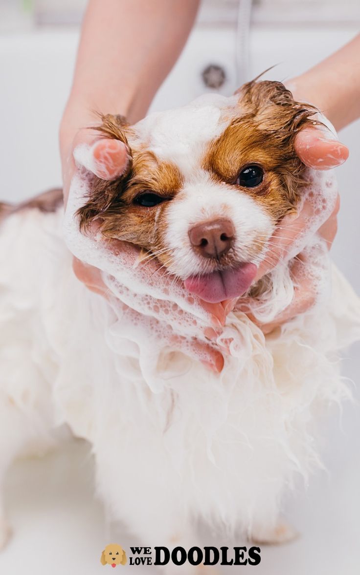 Hygiene
